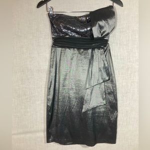 Like New Maria Bonita Silver Strapless Formal Dress Size Small